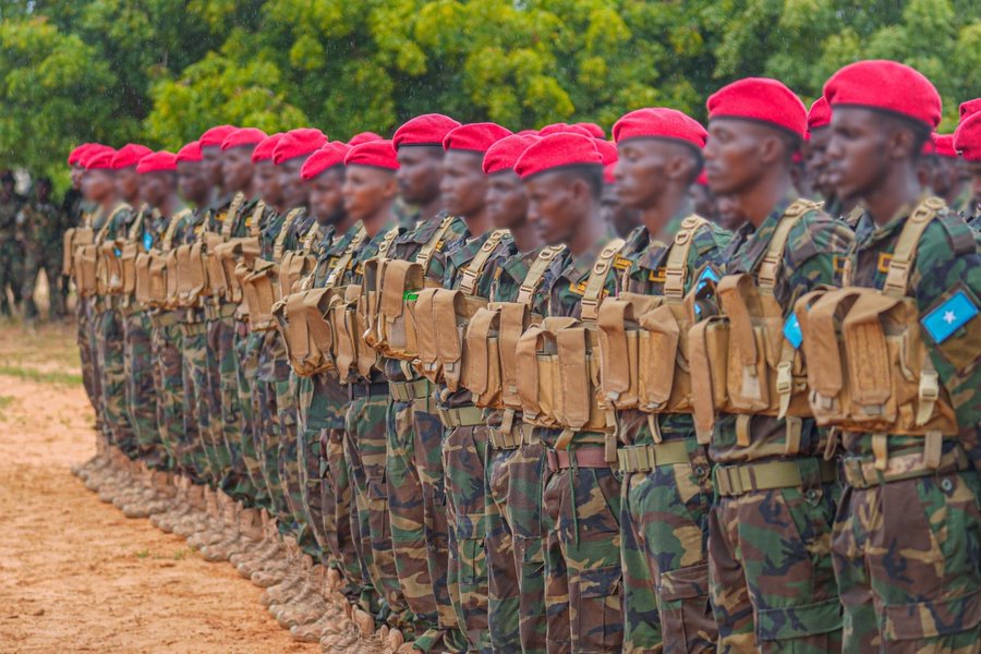 Somalia's National Security Office Rejects Turkish Airstrike Claims, Warns Against Unverified Reports on Leego Fighting