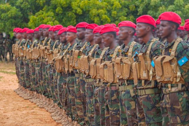 Somalia's National Security Office Rejects Turkish Airstrike Claims, Warns Against Unverified Reports on Leego Fighting