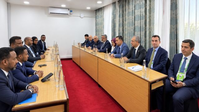 Türkiye and Somalia Seek Stronger Parliamentary Role in Bilateral Agreements