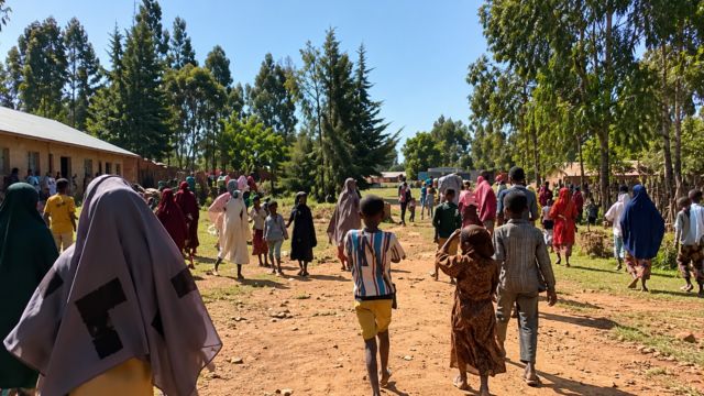 Drone Strike Reportedly Kills Students at Ethiopian Primary School as Second Attack Hits Government Building in Amhara